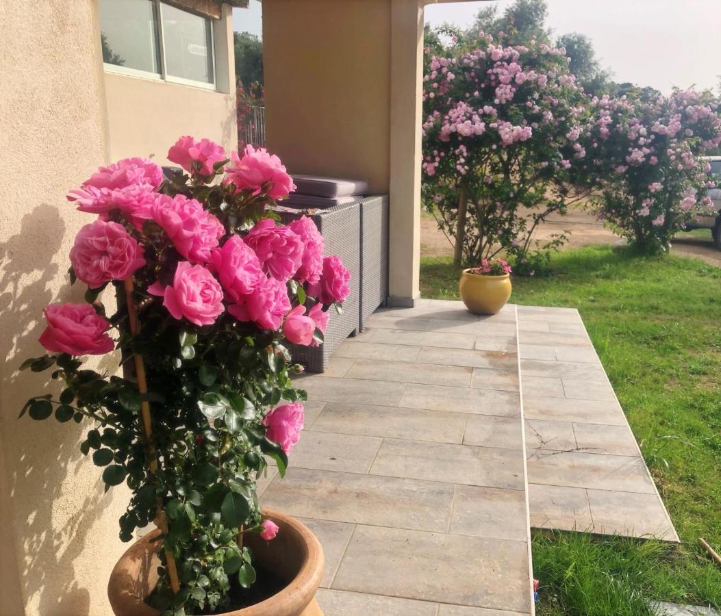 Residence Itylon Cargèse المظهر الخارجي الصورة
